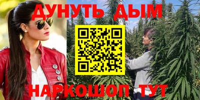 гашик Шелехов